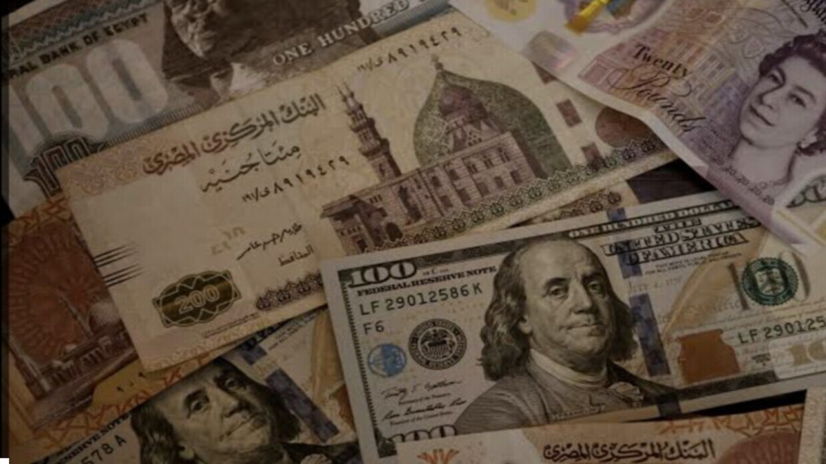دلار در مصر به طور تاریخی افزایش می‌یابد