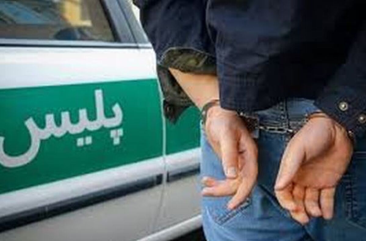 دستگیری کلاهبردار تحت مشارکت فعالیت‌های اقتصادی در ساری