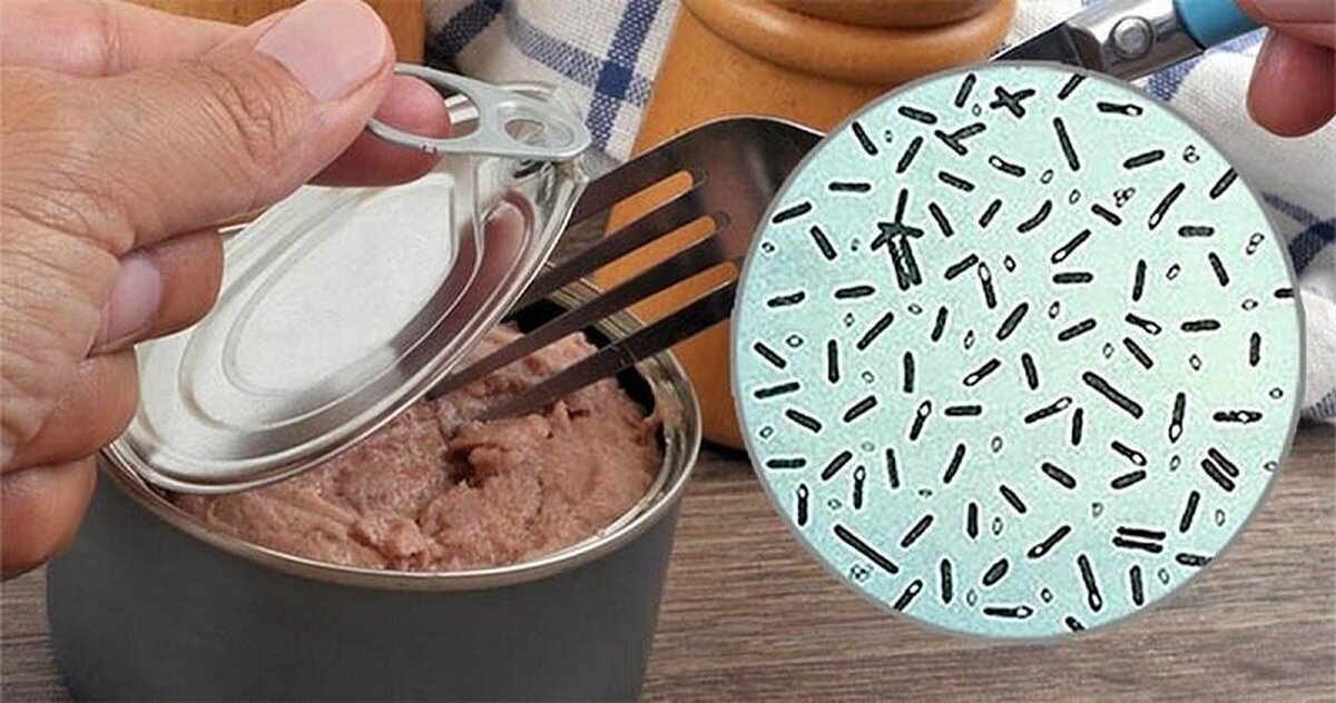 چرا جوشاندن کنسرو‌ها قبل از مصرف حیاتی و واجب است؟