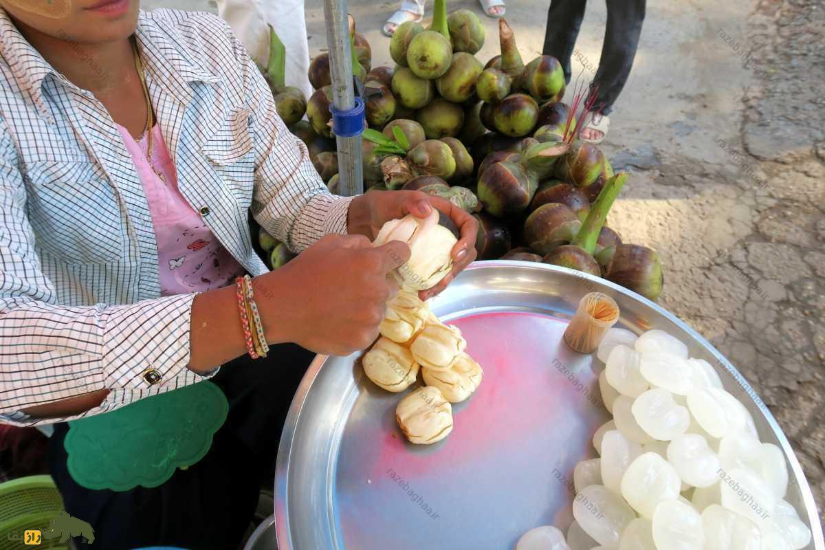 اثر معجزه آسای میوه پالمیرا بر بالا بردن متابولیسم بدن