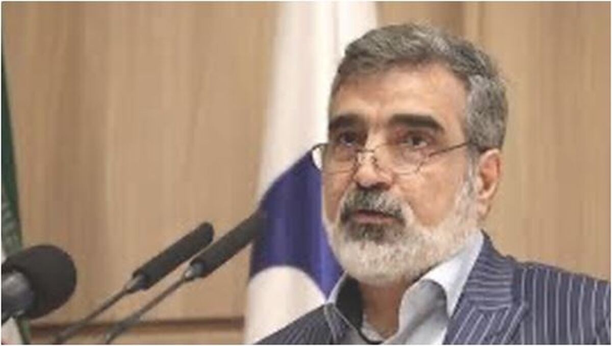 کمالوندی: ظرفیت غنی‌سازی را به شکل قابل ملاحظه‌ای افزایش می‌دهیم