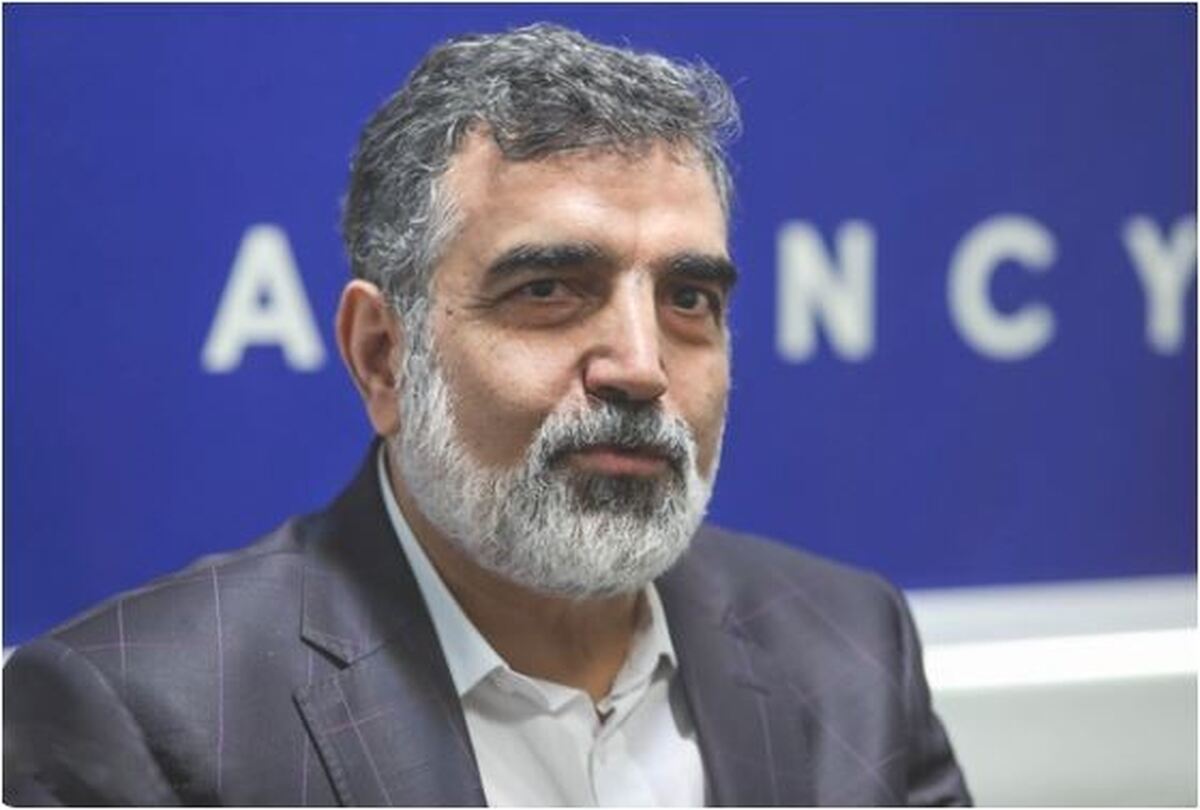 معاون سازمان انرژی اتمی: اقدامات جبرانی ایران بلافاصله بعد از صدور قطعنامه آغاز شد