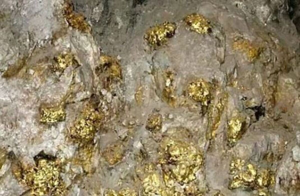 کشف یک معدن بزرگ طلا با ذخایر تخمینی بیش از ۱۰۰۰ تن!