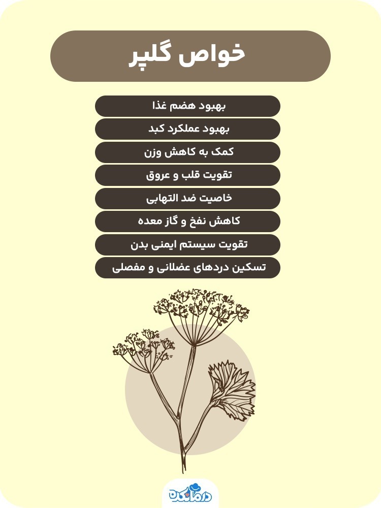یک گلپر و هزار فایده/بهترین زمان مصرف چه وقتی است؟