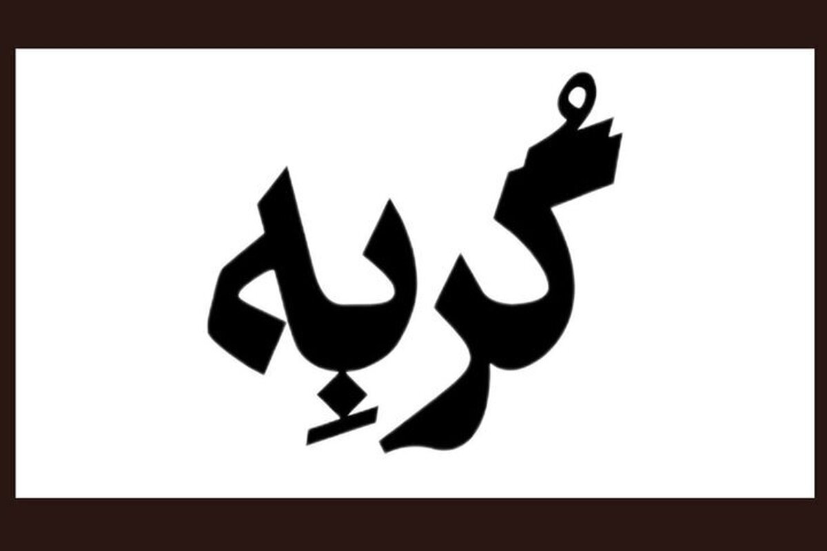 گربه به سالن شماره ۲ خانه‌نمایش دا رسید!