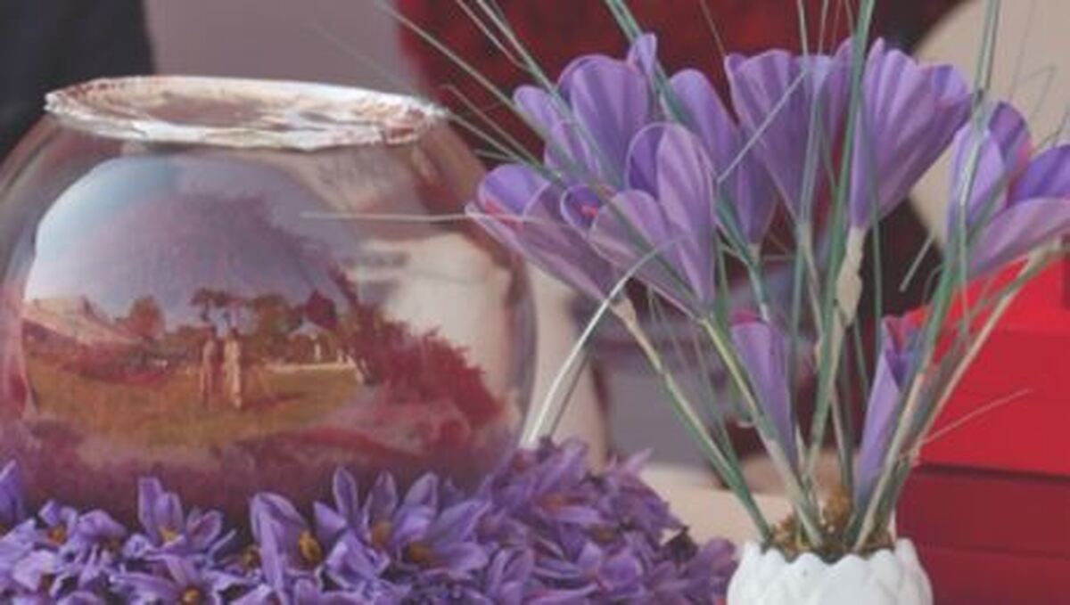 طلای سرخ افغانستان در رتبه نخست جهانی