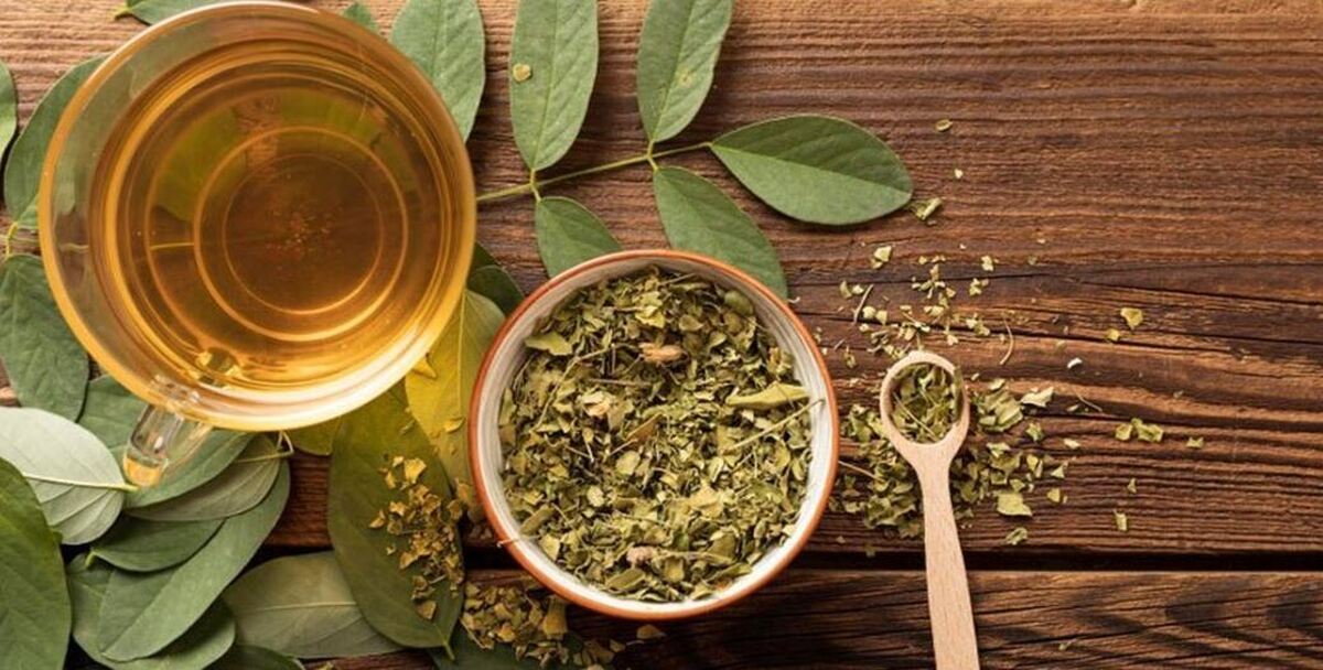 معرفی ۱۰ دمنوش پر خاصیت برای درمان سریع مشکلات تنفسی