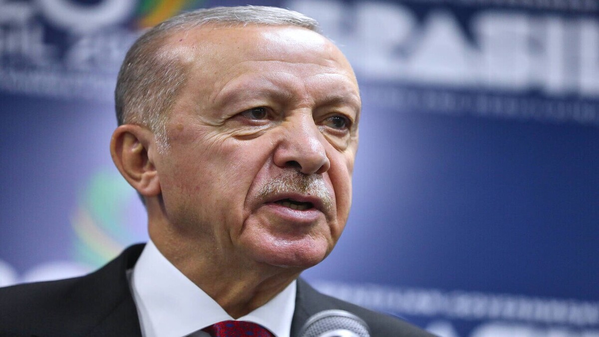 اردوغان: ما به تلاش‌ها برای حل و فصل مسالمت آمیز در اوکراین ادامه خواهیم داد
