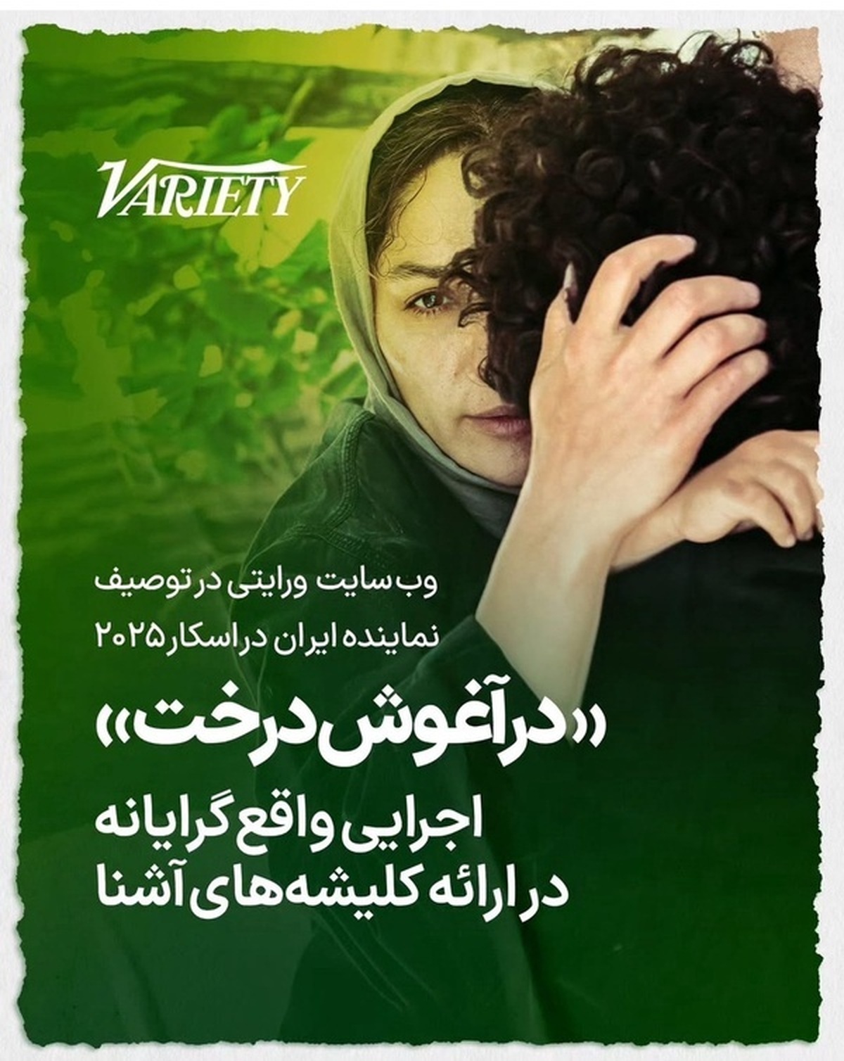 در آغوش درخت؛ فیلمی ساده و فروتن و سرشار از صداقت و احساس