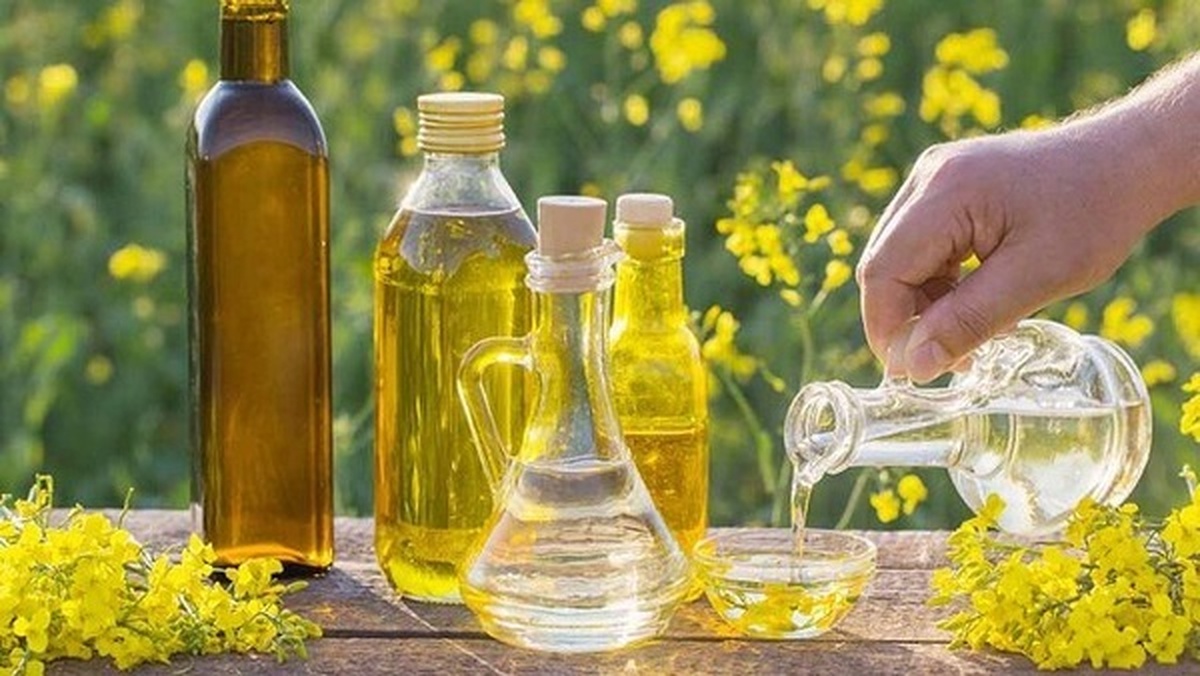 کاهش خطر ابتلا به بیماری‌ها با استفاده از روغن‌های مناسب