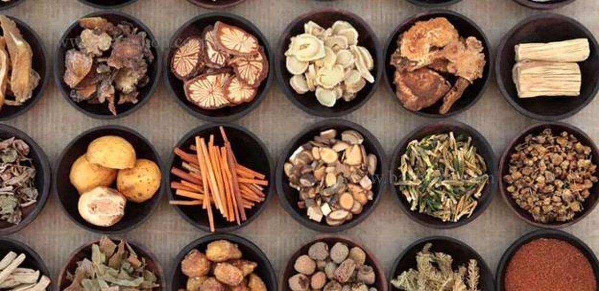 معرفی انواع گیاهان دارویی با طبع سرد و خواص آن‌ها