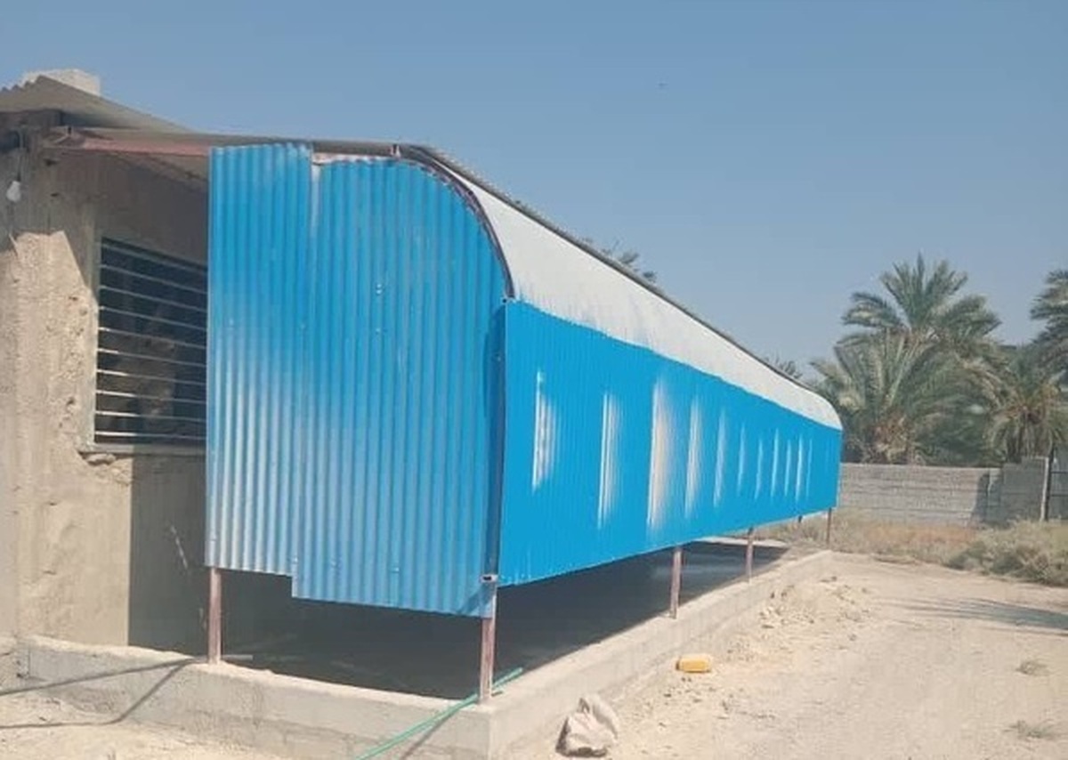 ۲ واحد مرغداری با ایجاد آلودگی هوا در قیروکارزین تعطیل شدند