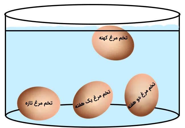 چند روش کاربردی برای تشخیص سن تخم مرغ با یک کاسه آب