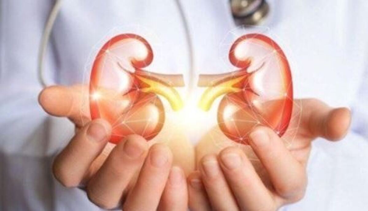 اهمیت بالای تشخیص بهنگام نارسایی مزمن کلیه