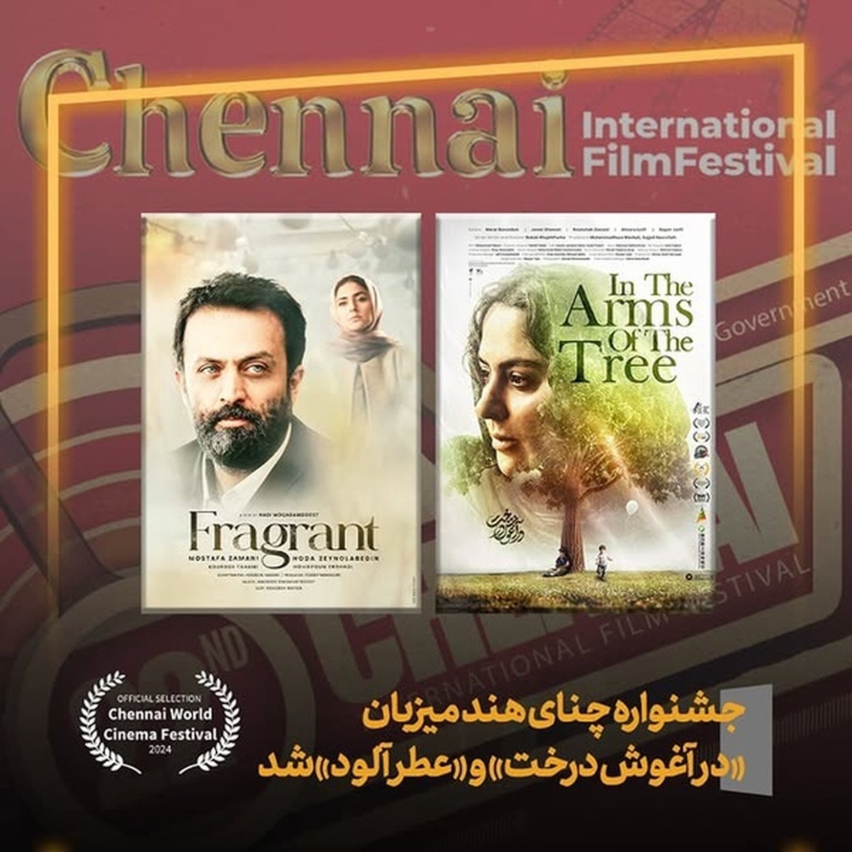 جشنواره چنای هند میزبان «در آغوش درخت» و «عطرآلود» شد