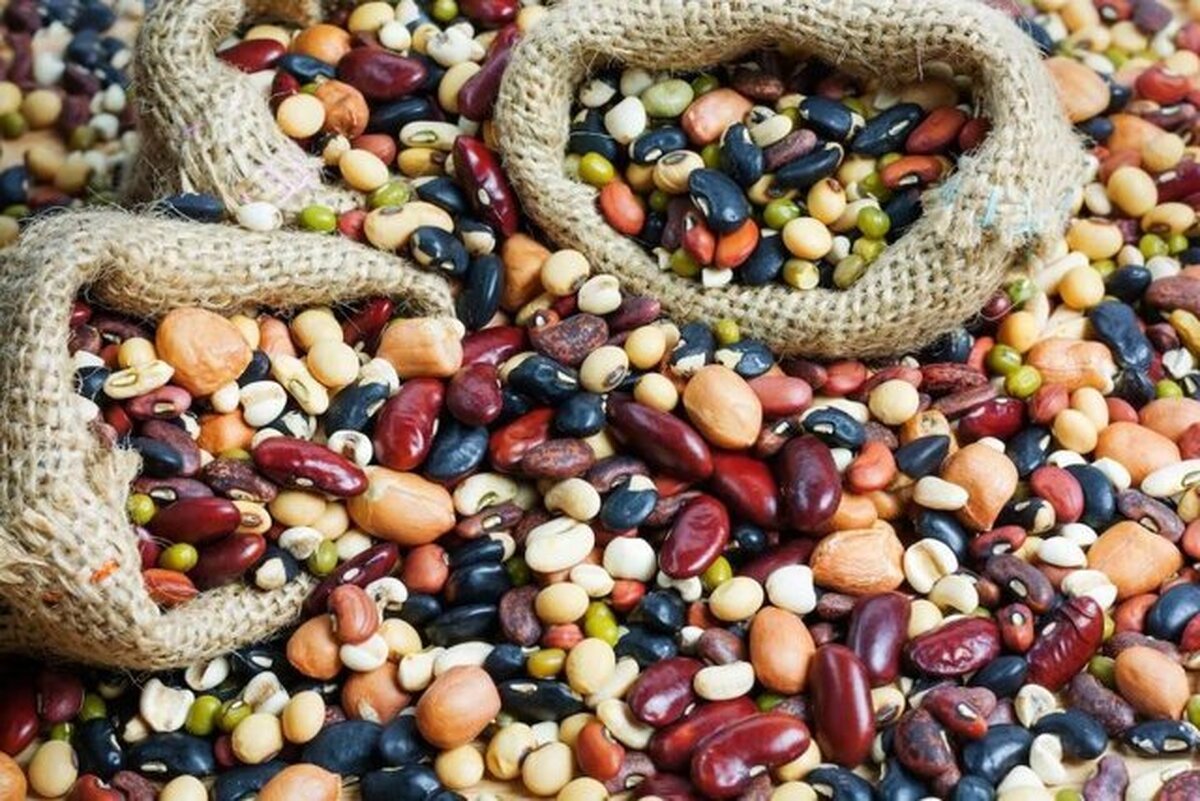 معرفی جایگزینی مناسب برای گوشت قرمز