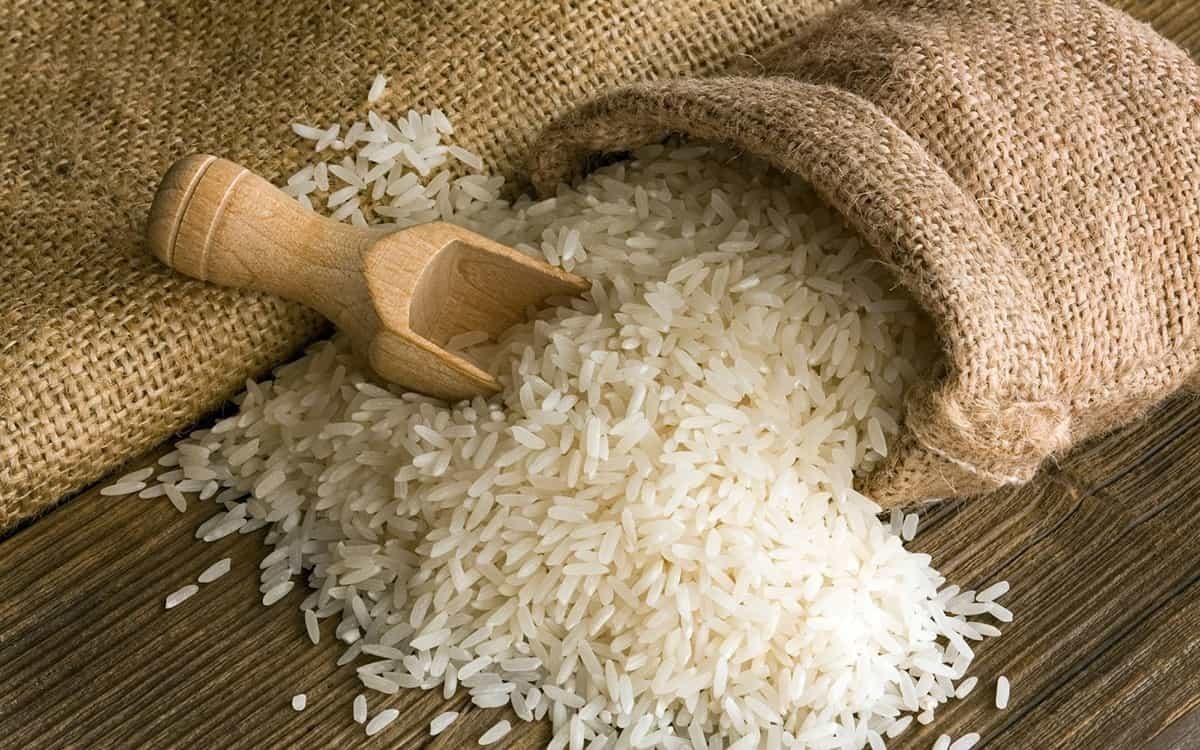 نقاط کوانتومی کربنی منجر به رشد برنج در آب شور شد!