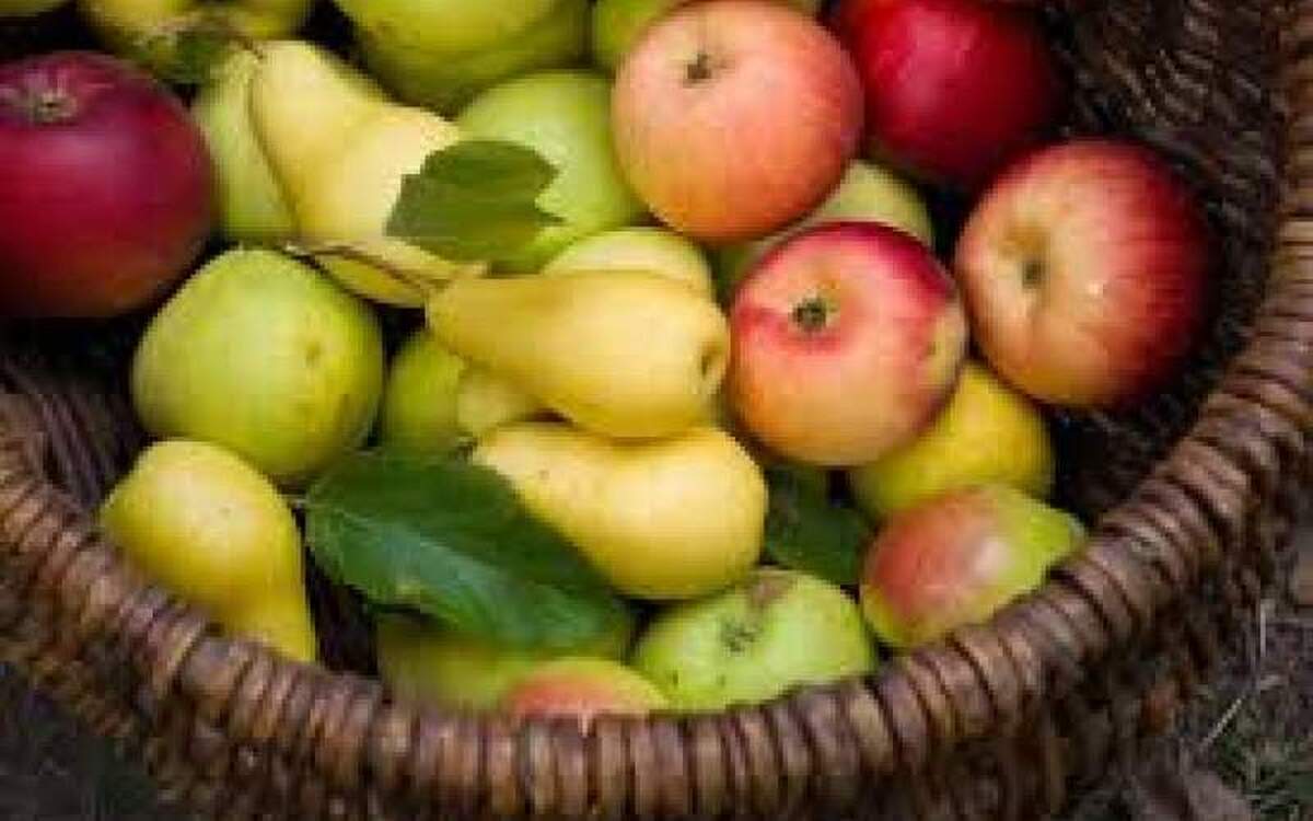 چربی سوزی و خوش اندامی با این خوراکی ها!