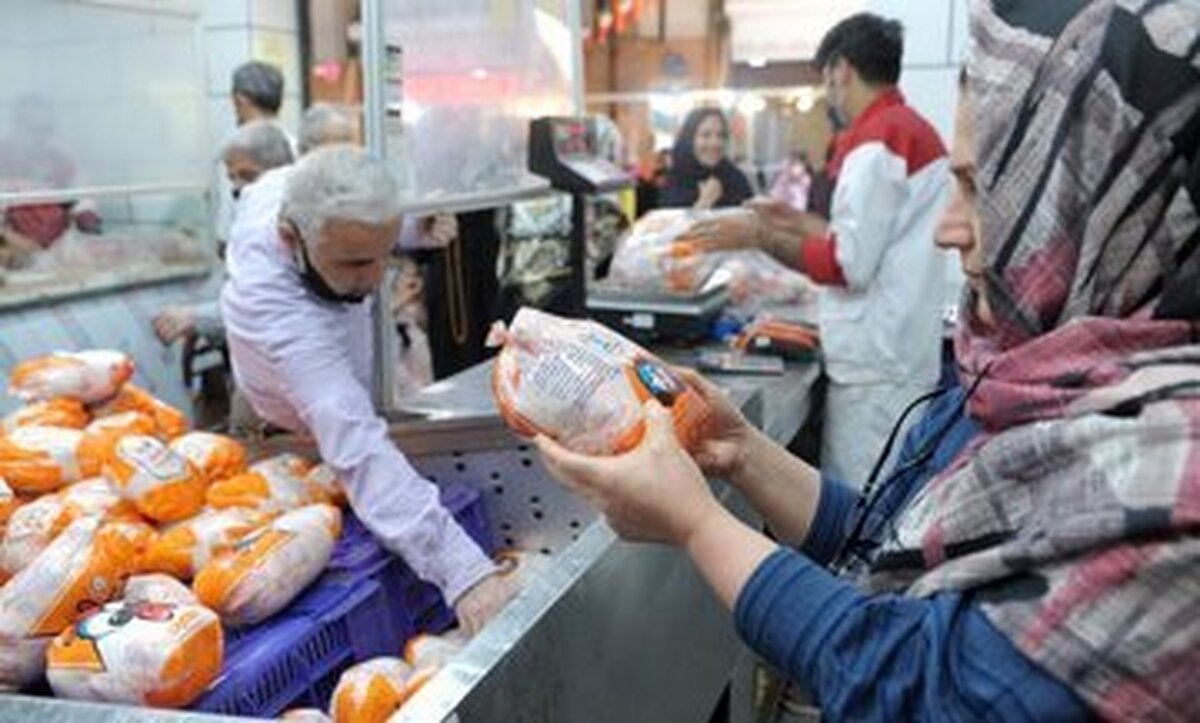 تغییری در قیمت گوشت مرغ و تخم مرغ در دستور کار دولت نیست