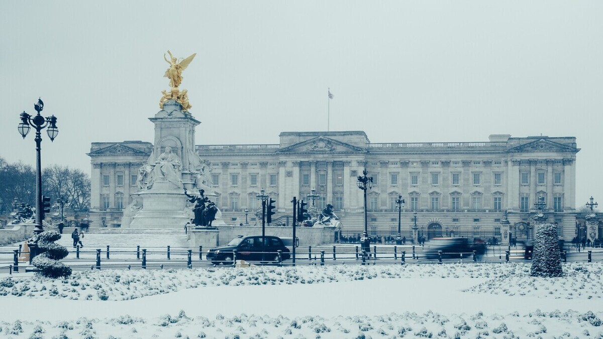 خدمتکار کاخ باکینگهام پس از اینکه جشن کریسمس از کنترل خارج شد، دستگیر شد