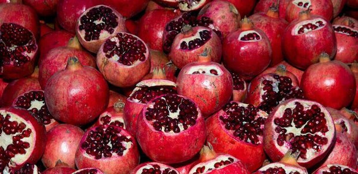 روش‌های مشارکت خیران برای کمک به تامین مایحتاج معیشتی نیازمندان در شب یلدا