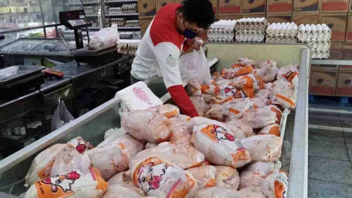 قیمت‌های جدید فروش مرغ با ترفند جدید گران فروشی!