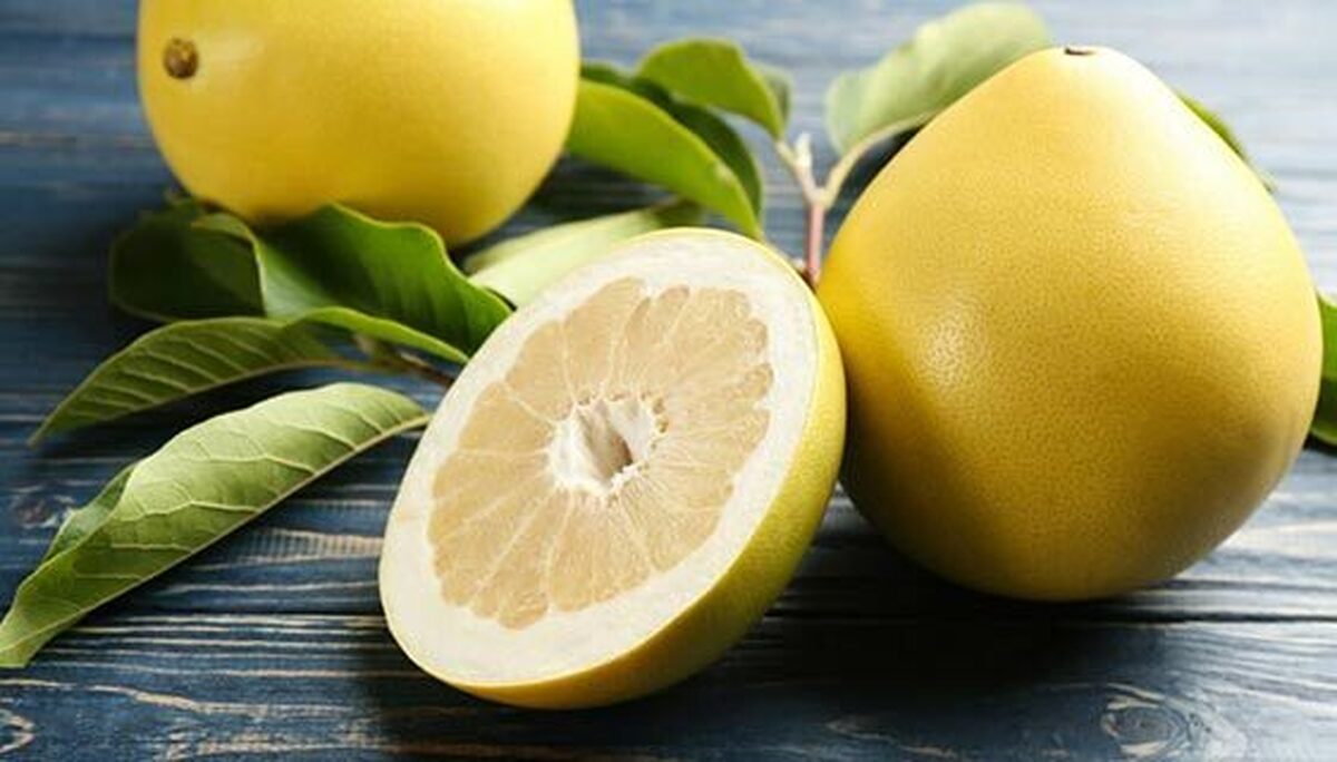 کاهش وزن تضمینی و سلامت قلب با مصرف دارابی از مرکبات بزرگ آسیایی