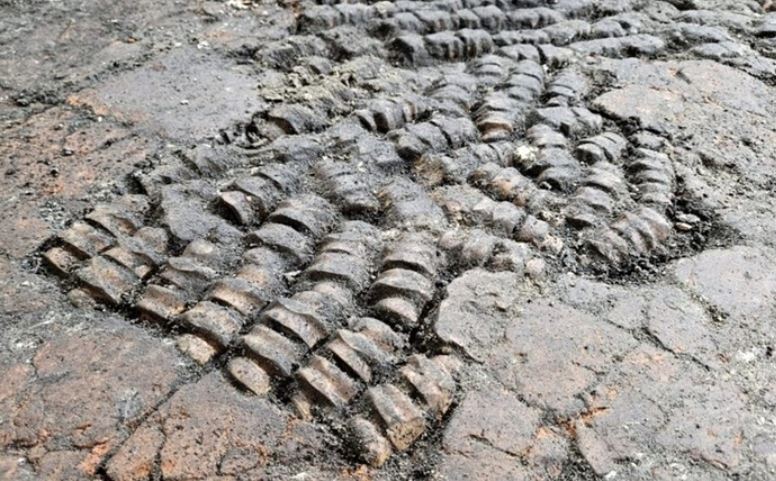 کشف موزاییک‌هایی از جنس «استخوان گاو» در یک خانه ۵۰۰ ساله