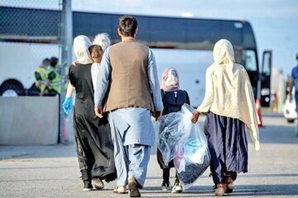تاثیر اتباع خارجی در نرخ اجاره مسکن‌ها