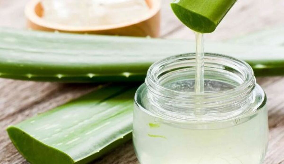 جلوگیری از پرخوری و تسریع روند سوختن کالری‌ها با آلوئه ورا