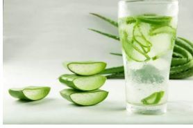 جلوگیری از پرخوری و تسریع روند سوختن کالری‌ها با آلوئه ورا