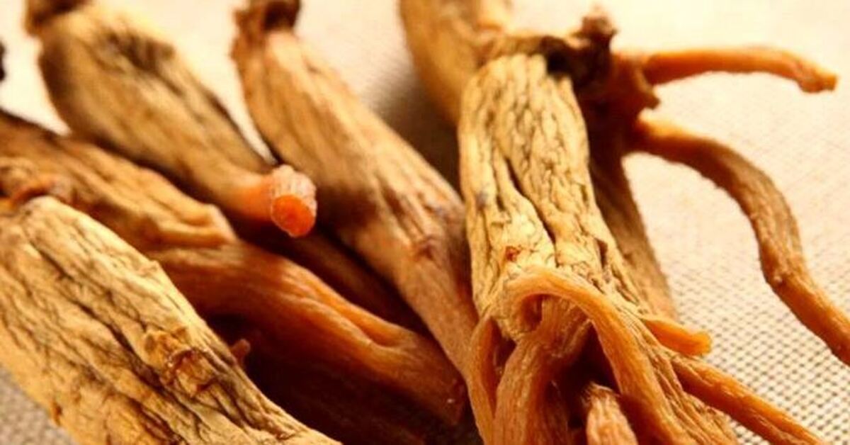 عوارض گیاه جینسینگ که از آن بی خبرید