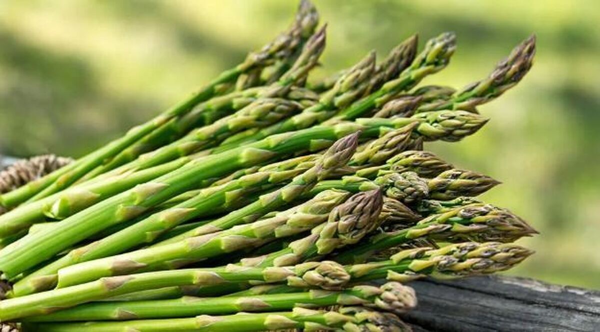 دمنوش مارچوبه بهترین گزینه برای کنترل فشار خون