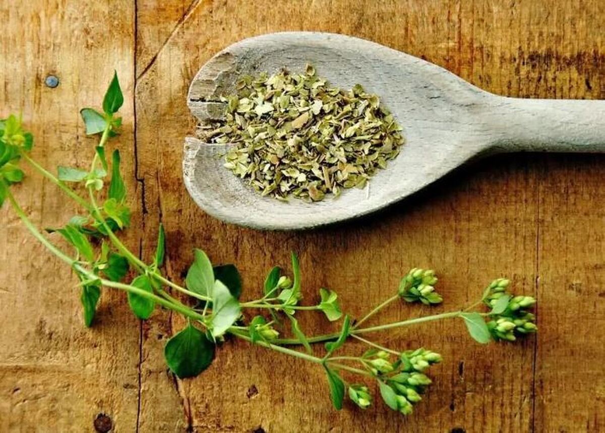 علائم اولیه آرتروز چگونه بروز پیدا میکند؟