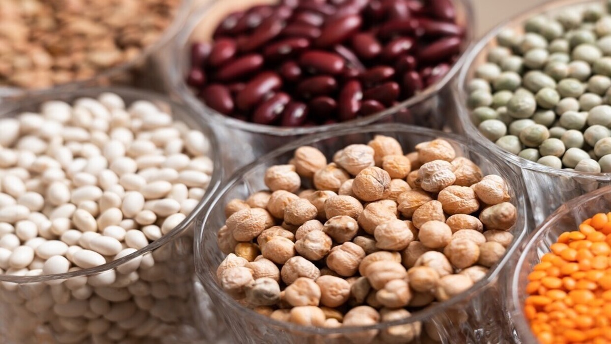 منابع ایده آل پروتئین گیاهی