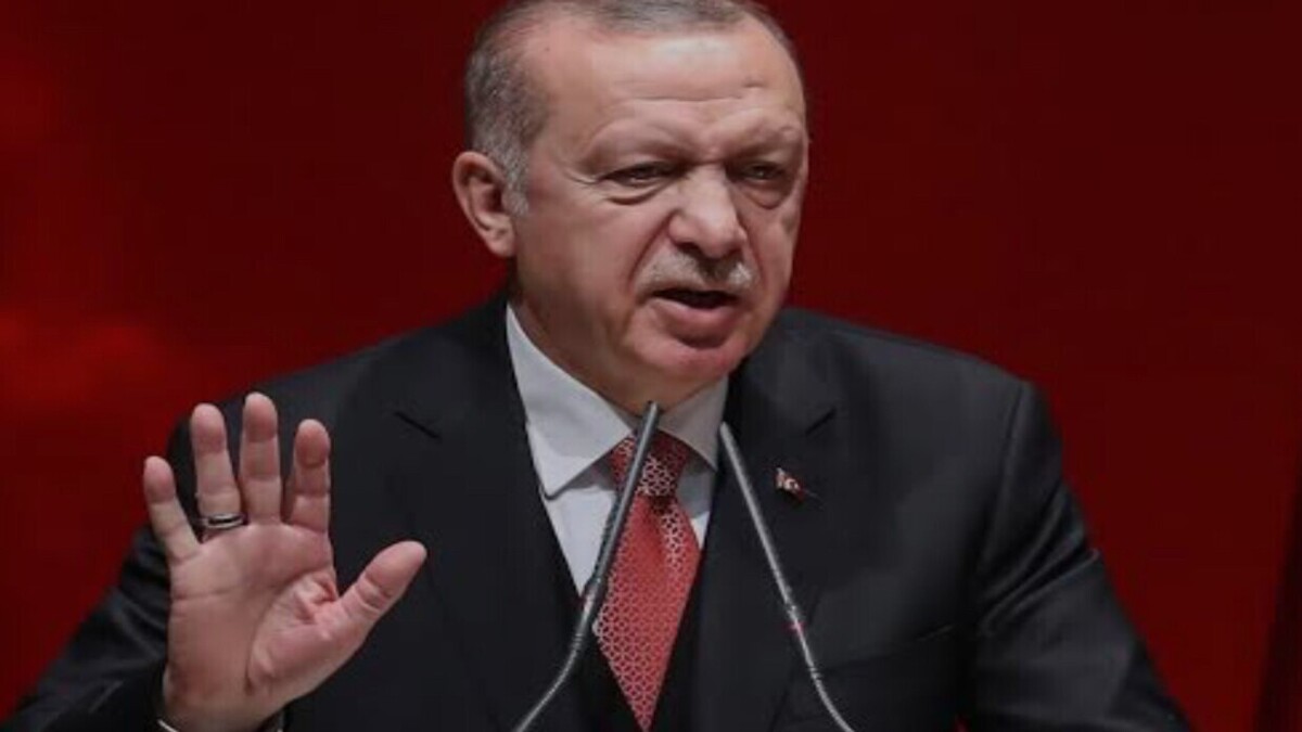 اردوغان از مصر به سوری‌ها پیام می‌فرستد