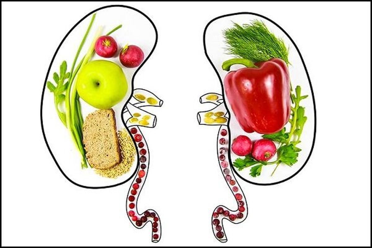 مدیریت بهتر بیماری‌های کلیوی با انتخاب هوشمندانه مواد غذایی!