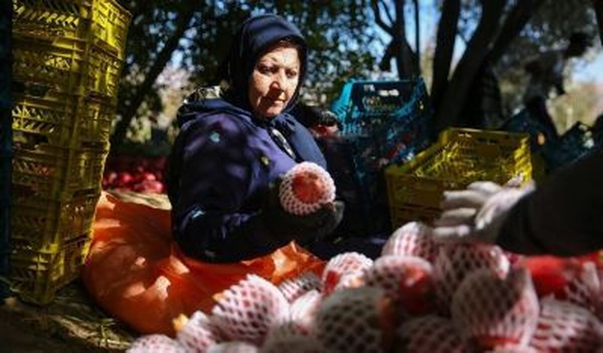 تولید ۱ میلیون و ۳۴۰ هزار تن انار در کشور