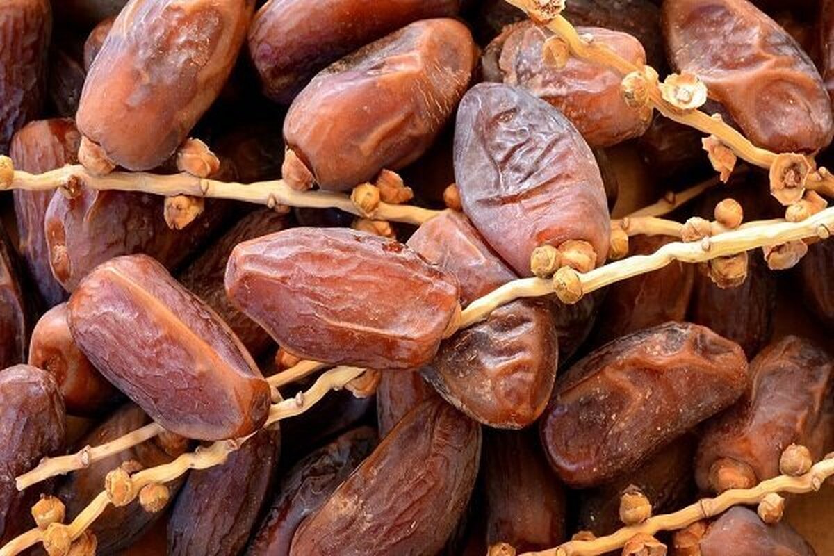 تبدیل پسماند خرما به مواد کربنی ممکن شد!