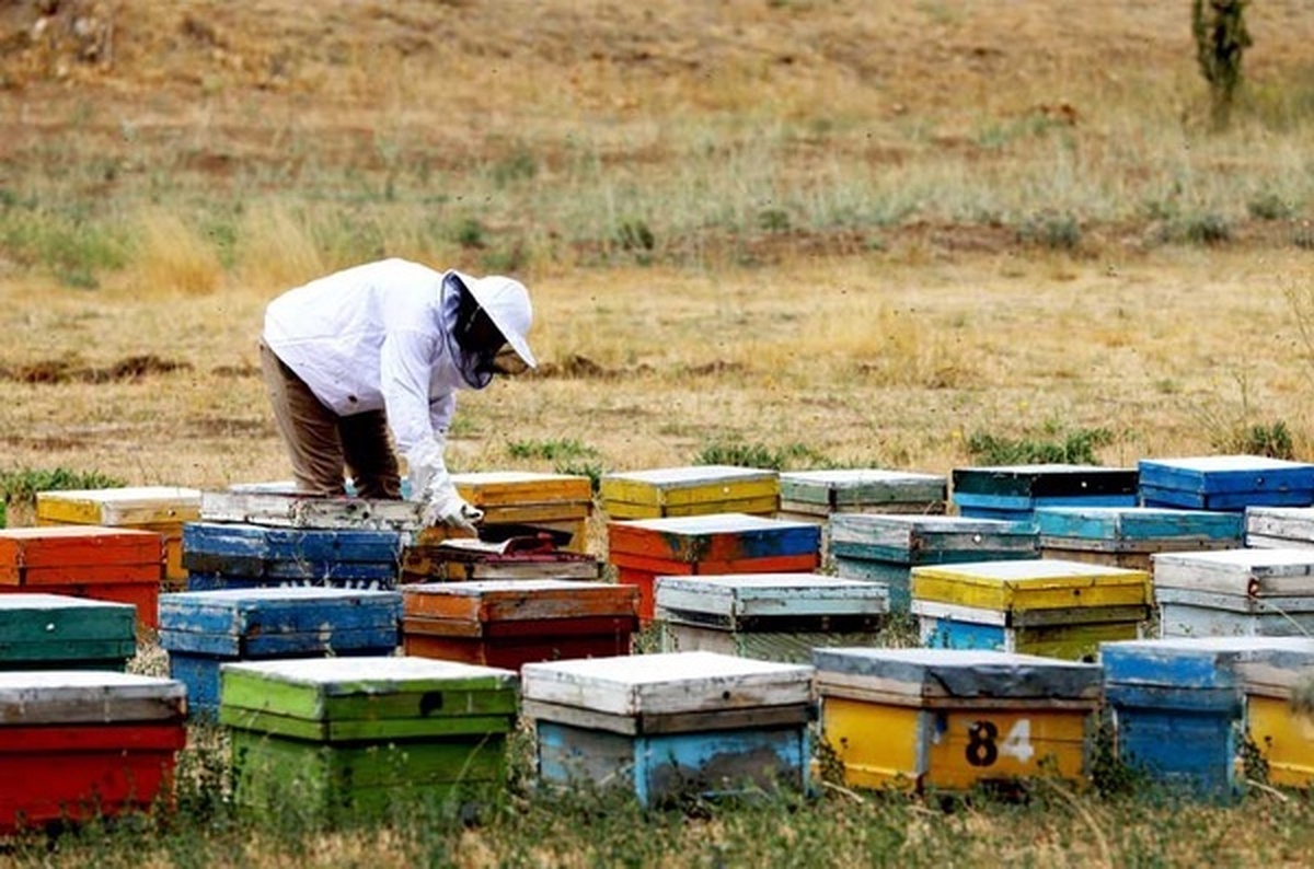 ابلاغ ۱۲۹ میلیارد تومان تسهیلات اشتغالزایی در روستا‌های اردبیل