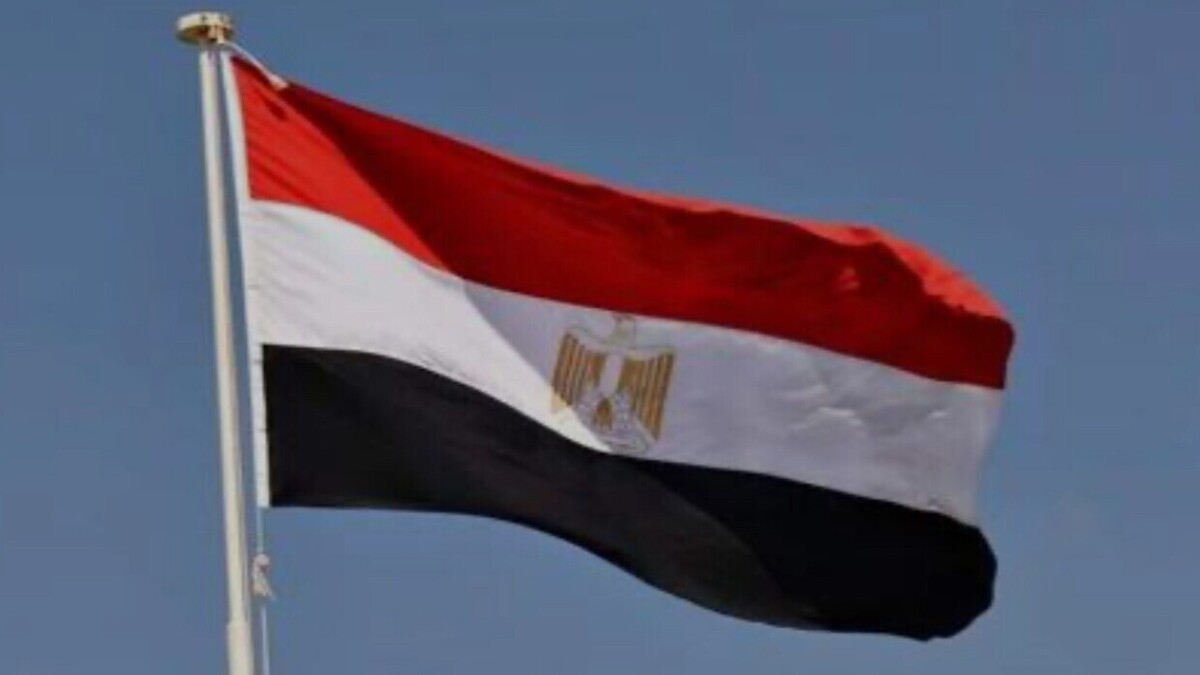آیا مصر واردات را ممنوع کرده است؟