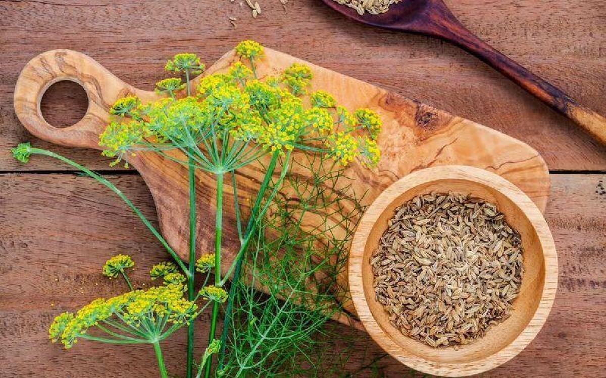 بهترین دارو‌های گیاهی برای کشتن میکروب معده کدامند؟