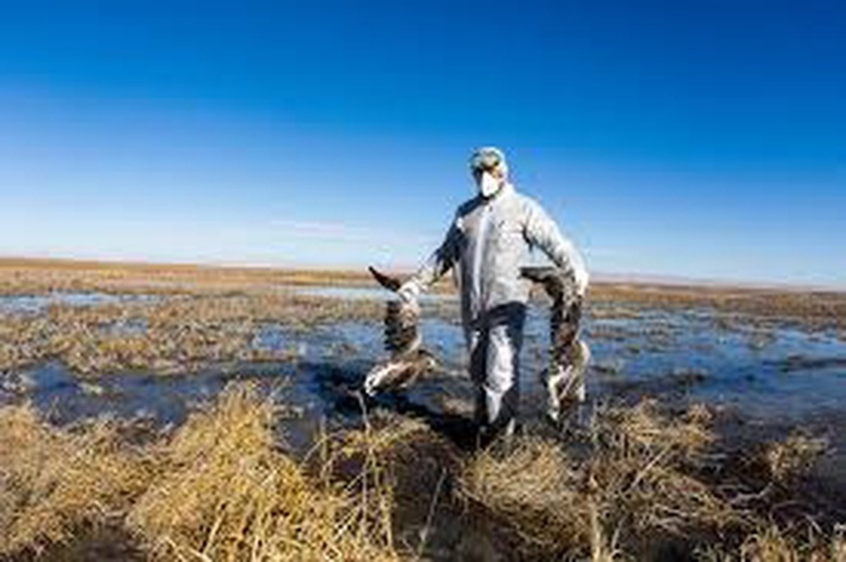 هشدار محیط زیست کهگیلویه وبویراحمد؛ مردم مواظب آنفلوآنزای پرندگان باشند