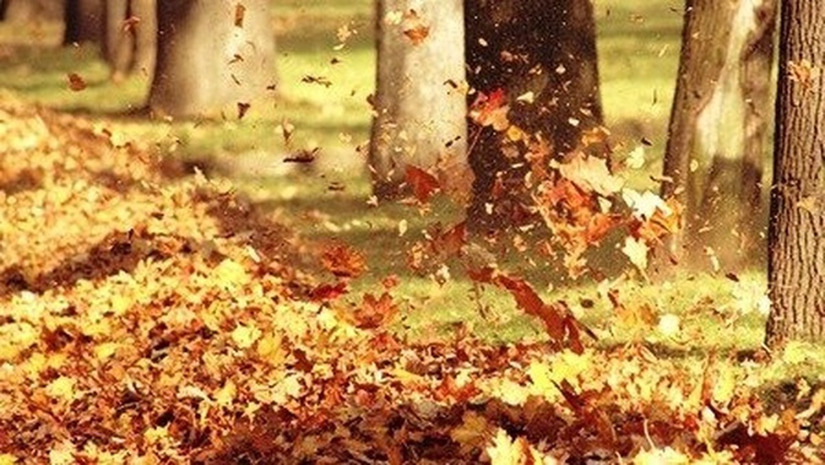 سرعت باد در همدان به ۷۰ کیلومتر بر ساعت می‌رسد