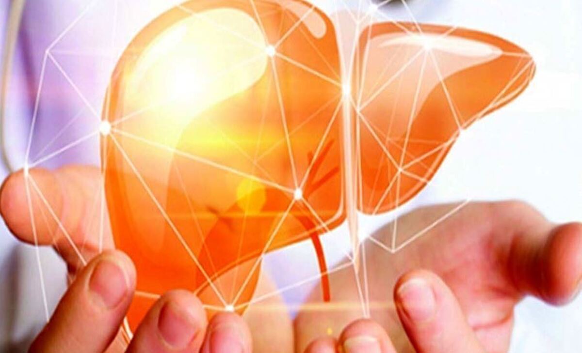 تاثیر گذار‌ترین مواد غذایی در بهبود بیماری کبد چرب