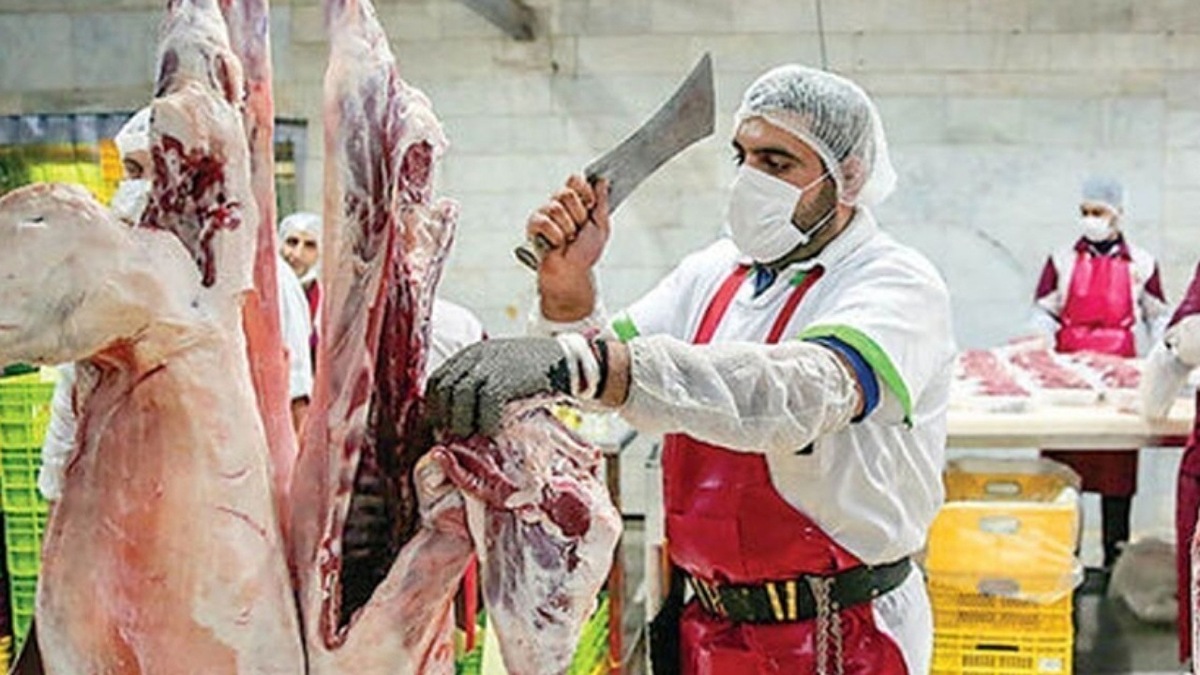توزیع گوشت بالاتر از ۷۰۰ هزارتومان گرانفروشی است
