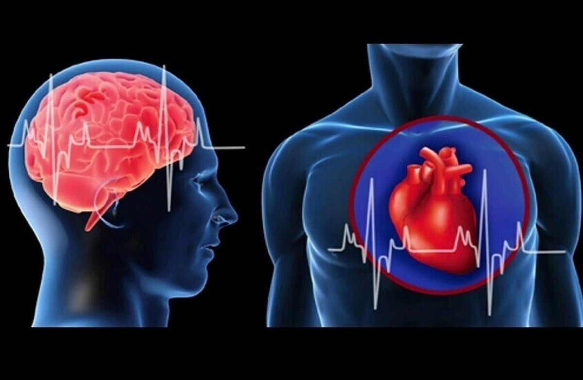 کشف ارتباط بین بیماری قلبی و تغییرات مغزی