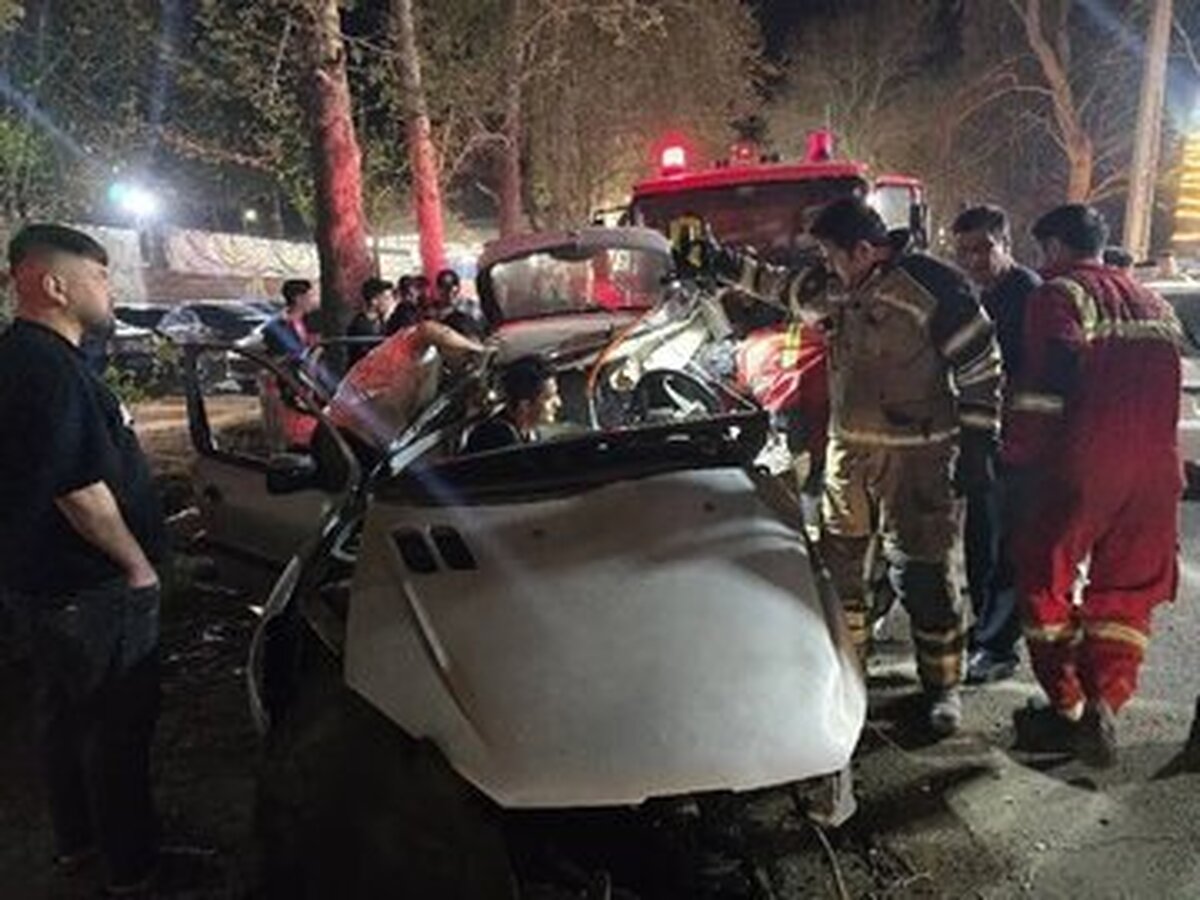 جان باختن سه سرنشین پژو ۲۰۶ که تبعه افغانستان بودند