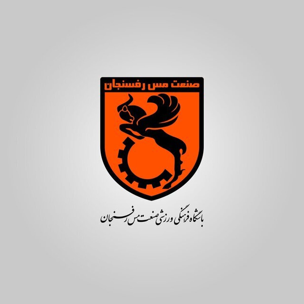 استعفای پورموسوی از مس رفسنجان؟ / مومنی: در جریان نیستم