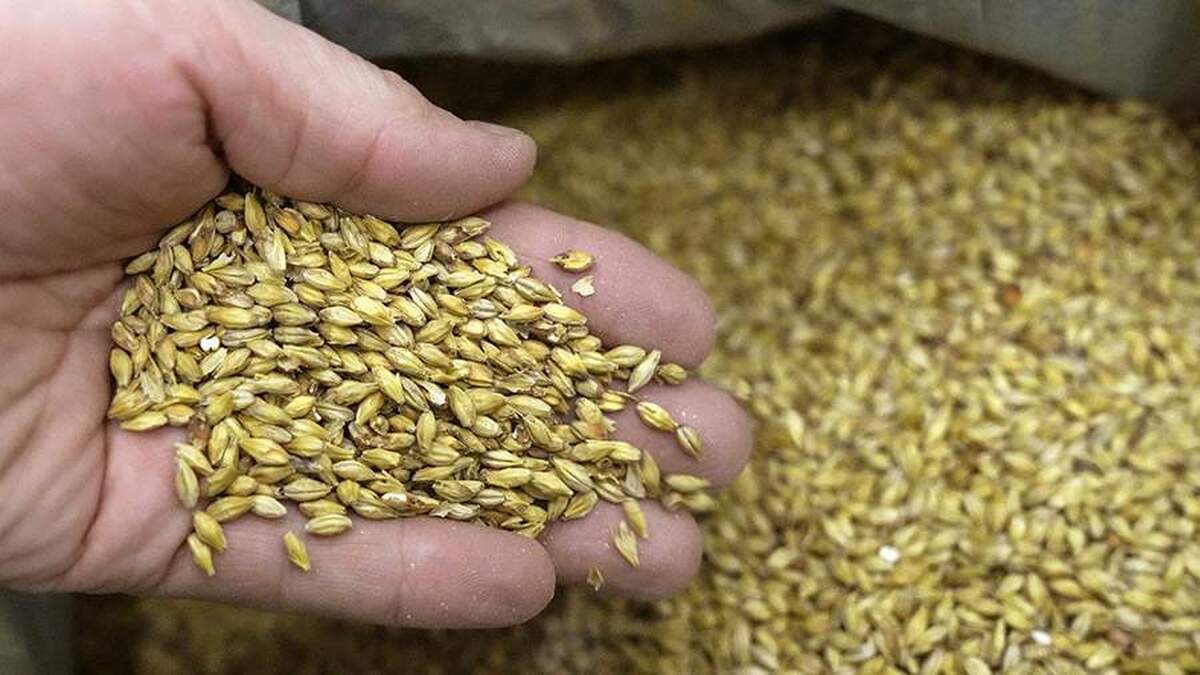 پولیانسکی از امکان تسهیل عرضه محصولات کشاورزی به بازار توسط روسیه خبر داد
